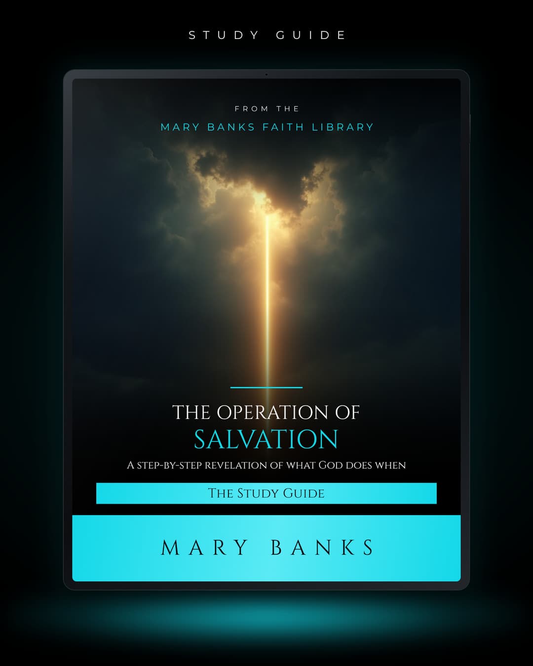 The Operation of Salvation: What God Does When You're Saved